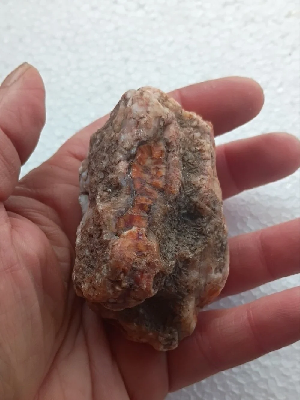 Natural Orange-Brown Reptile Hideaway Rock - Unbranded